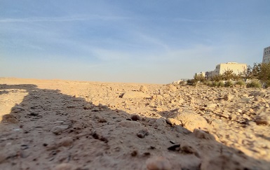 42 هکتاری2