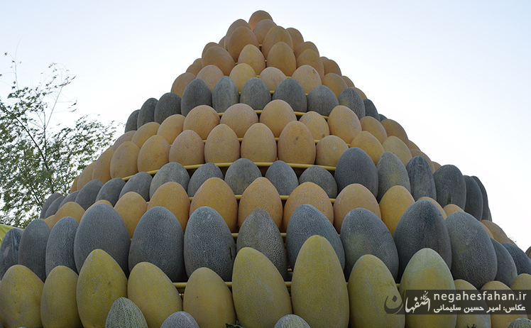 دومین جشنواره خربزه گرگاب