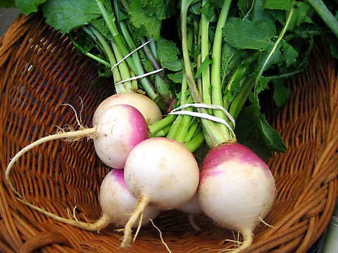 در فصل سرما از خوردن شلغم غافل نشوید