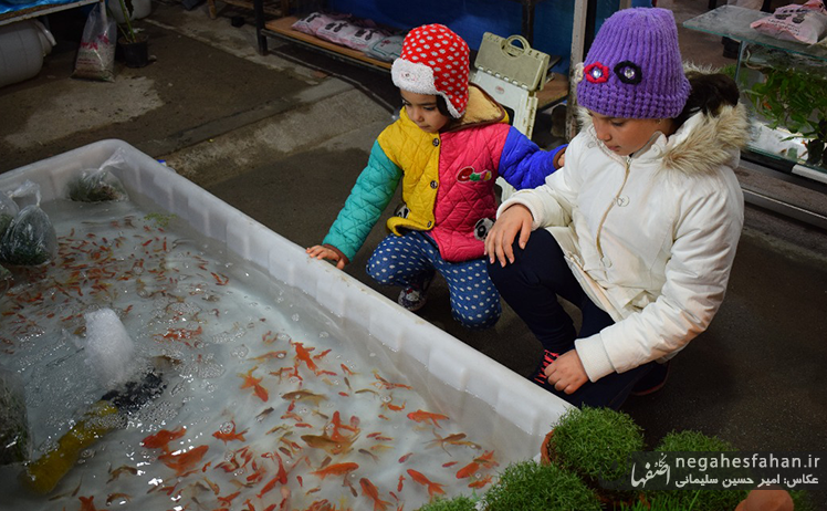 حال و هوای نوروزی در شاهین شهر