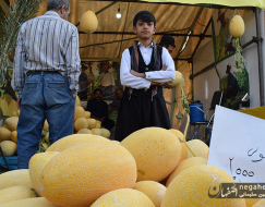 دومین جشنواره خربزه گرگاب 
