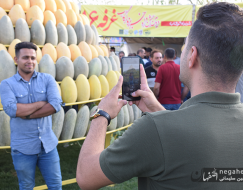 دومین جشنواره خربزه گرگاب 