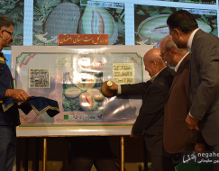 دومین جشنواره خربزه گرگاب 